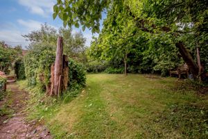 Garden- click for photo gallery